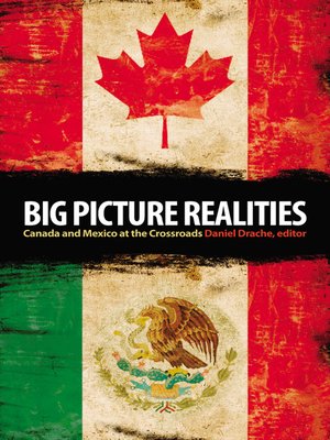 cover image of Big Picture Realities